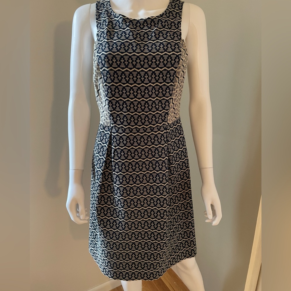 Loft Women’s pleated dress